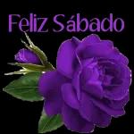 SALUDOS 