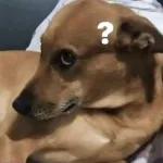 Me Gusta