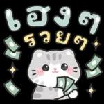 แมวมาร์คัส V.3 : HNY