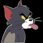 Tom and Jerry
                            Liza Fomushkina