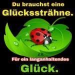 ich denke an dich