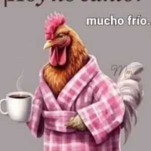 pmLqPD