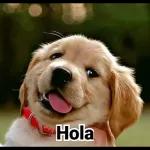 A ver una teta