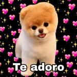 contesta el
teléfono!
