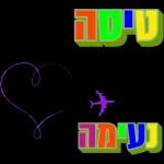 יאיר רומר כאור החמה