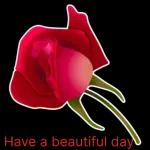 tienes una solicitud de amistad