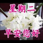 不要發送早上的圖片
