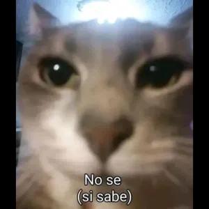 Y0iax8