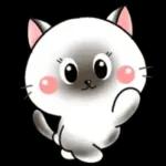 Cats! For reply