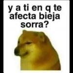 pelon