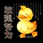 黃毛鴨