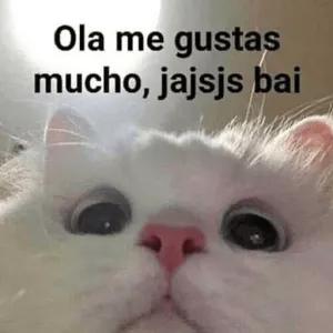 ejhupt