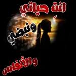 ليلة هادئة