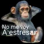 Si, si, ya a la pitufichingada