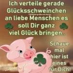 Guten morgen