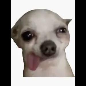 getsticker.com