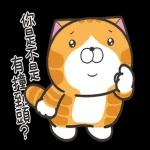 懂珍惜 走更遠