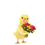 Hai già scelto il regalo perfetto? 🎁💓