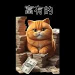 可愛的橘色肥貓!