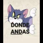 A NADIE LE IMPORTA