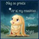 Geniet Jou Dag Reënboog Vlindertjies