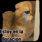 de todito
