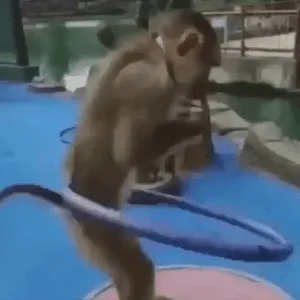 0uwwhw