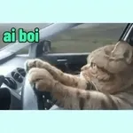ai boi
