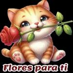 Pegatinas gratis