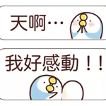 小企鹅来和你聊天啦