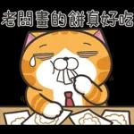 白爛貓45☆打工仔☆