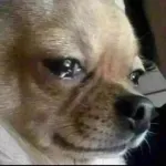 triste