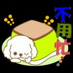 白貴賓犬表情包