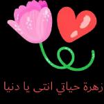 من الذي فاتك؟