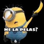GRACIAS