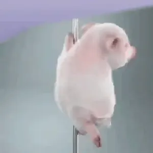hjagyz7