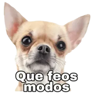 5xh8fq