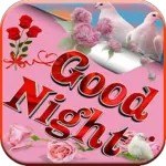 Good Night