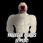 hola soy flork