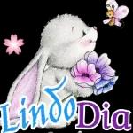 te quiero 🦆 la vida