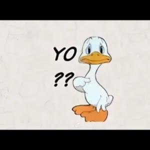 YO ?? - getsticker.com