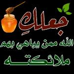 اللهيرضى عنكوعن والديكاعلام دوحة الدوان القران والسنة3