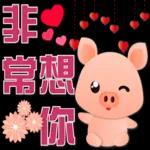可愛豬 很想你