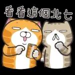 白爛貓11☆超級萌☆