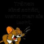 Tom und Jerry 🐱🐭