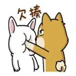 萌宠sticker  12085 🥰