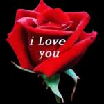 I love you, always all ways