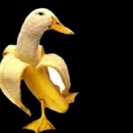 mamadas meriyein se6!P ON KANE STICKERS