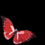 You are 1 in A million 4