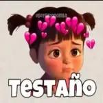 por qué no